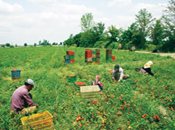 كشاورزی گلستان در انتظار اعتبارات سفر دولت